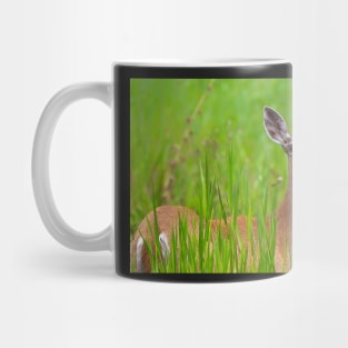 Doe in tall grass Mug